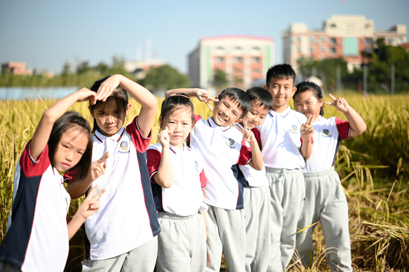 高埗镇乐贝尔实验小学图片