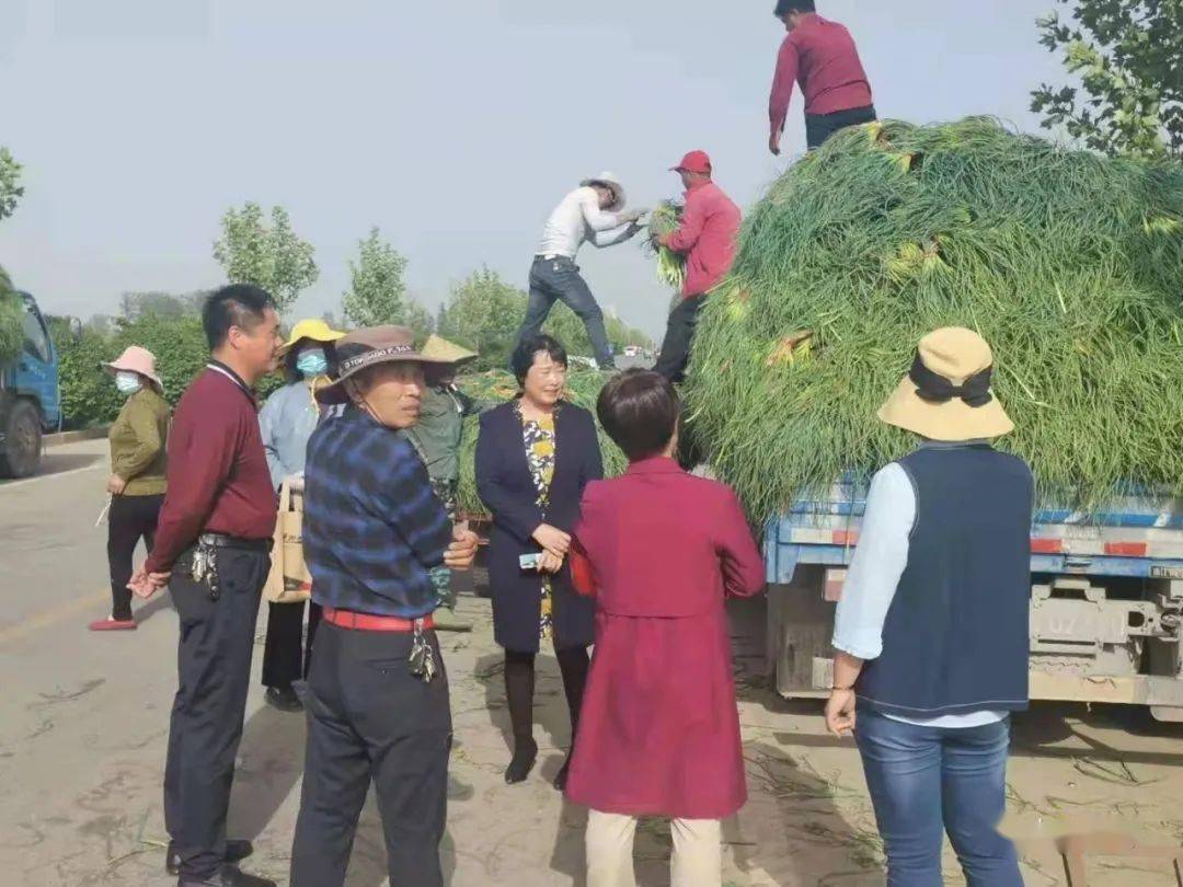 兰陵芦柞全员上阵全力出击力保蒜薹购销两旺