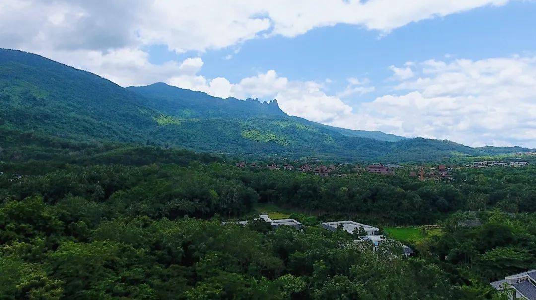 清涼夏日雨林遊大三亞旅遊經濟圈這些景點等你來打卡