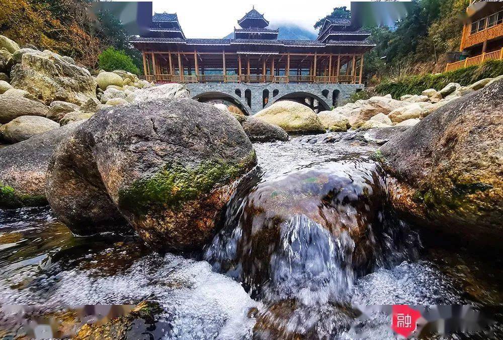 美得让人尖叫融水元宝山红杜鹃开了连绵千亩漫山遍野