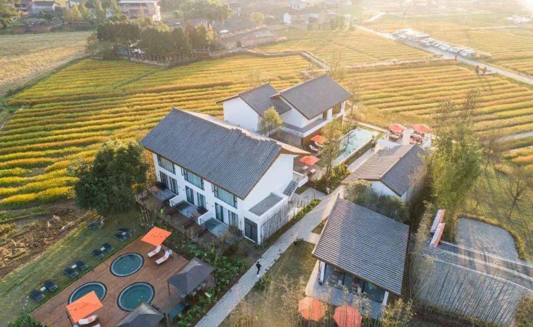 报名逛安仁古街游南岸美村玩奇境花园体验不一样的夏天