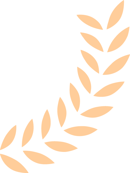 旅游攻略网站推荐 学生版 5db7e65076724c6396b02517469eaca1.png