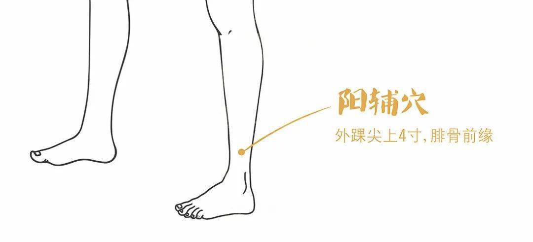 什么穴位疏通三焦经 6196f8c95a99410492003d38c923f4d6.jpeg