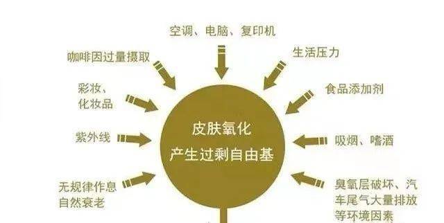 d41a3bbb27994ba2a85e9551caccb956.jpeg