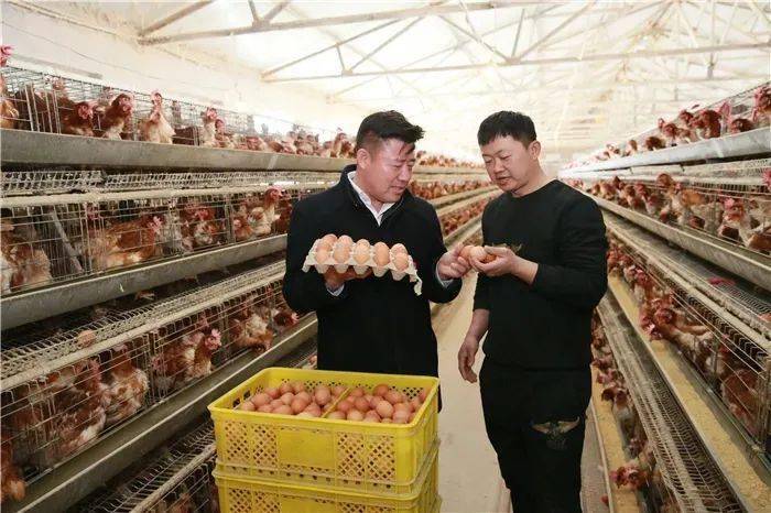 植根攻坚热土奉献扶贫真情记长岭县大兴镇永胜村驻村第一书记赵玉明