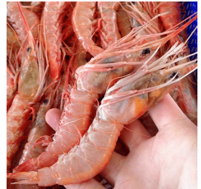 虾片上还有红色的印子,这些是真虾肉噢!