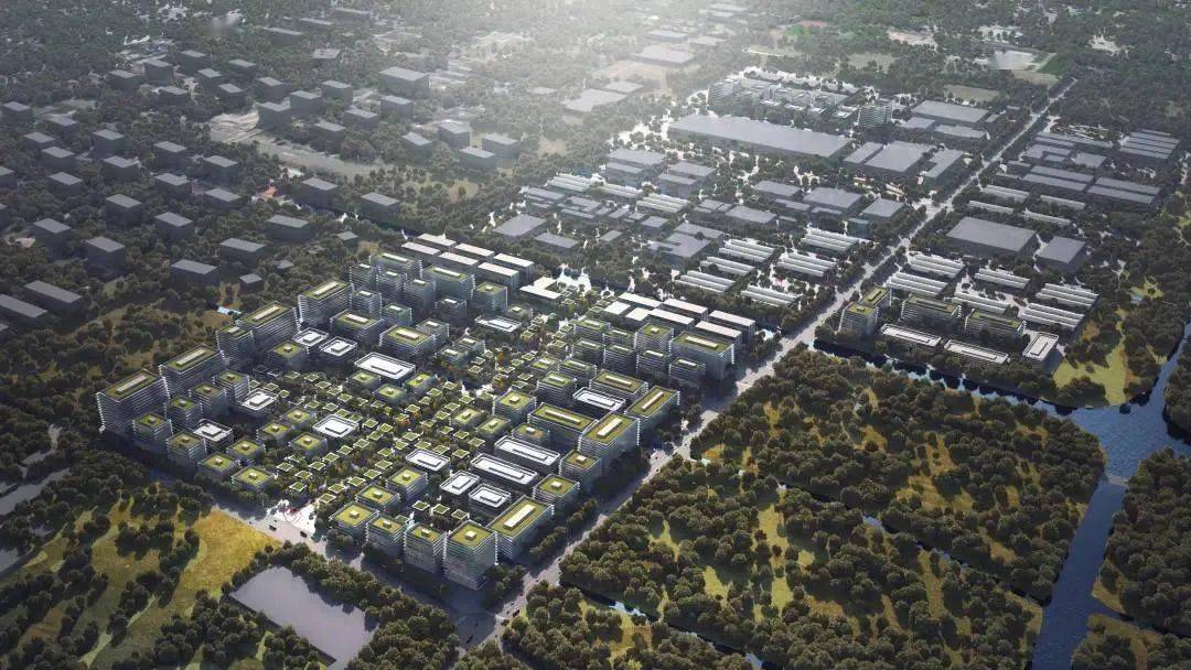 2021最爱美兰湖深潜cityplus赛艇嘉年华即将开赛本周六来美兰湖感受水