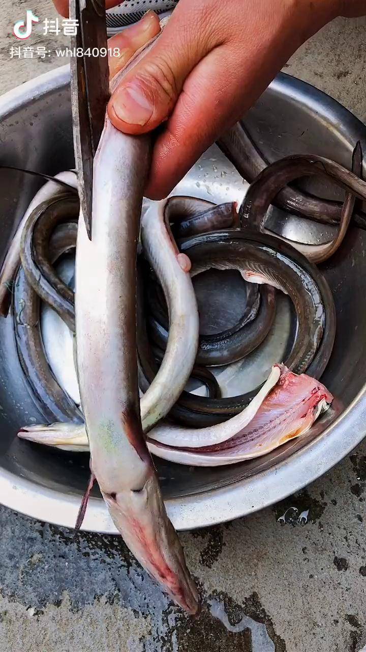 乌鳗细腻好吃美食