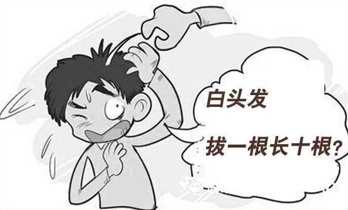 拔白头发表情包图片