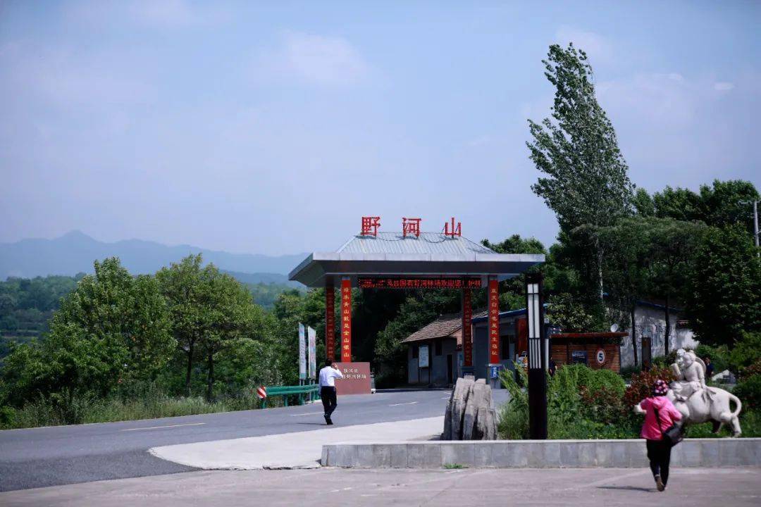拍摄地点:扶风县野河山景区摄  影:老猫