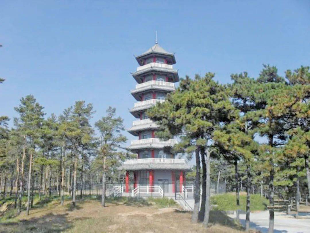 【红色地标巡礼】一代又一代 演绎"大漠风流"_章古台镇