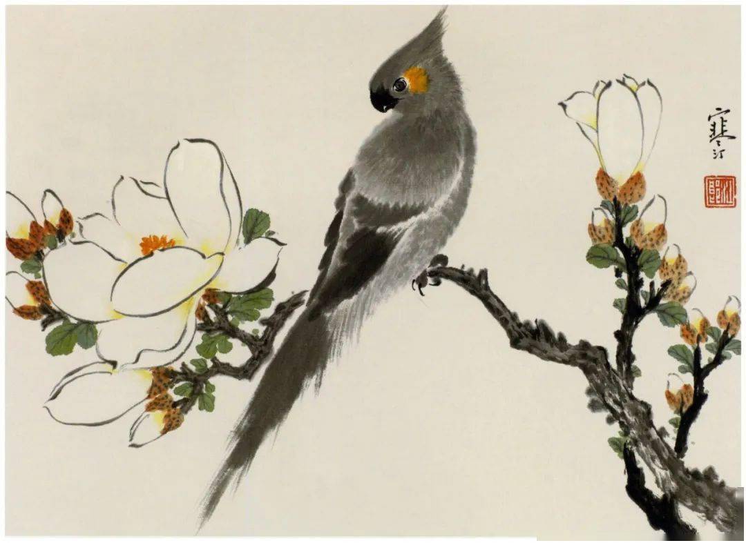 100幅江寒汀小写意花鸟,栩栩如生