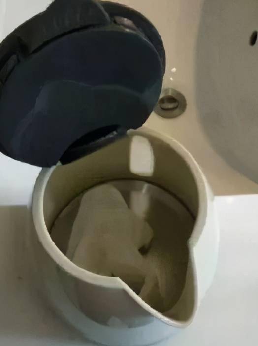 烧水壶品牌排行榜_折叠烧水壶直降60元“真快乐”卓朗品牌月大促6折起(2)