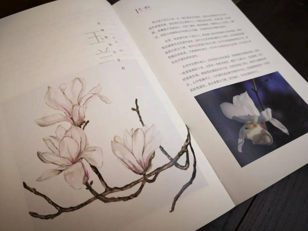 立夏先看什么花儿 | 一本书承包你的全年赏花需求