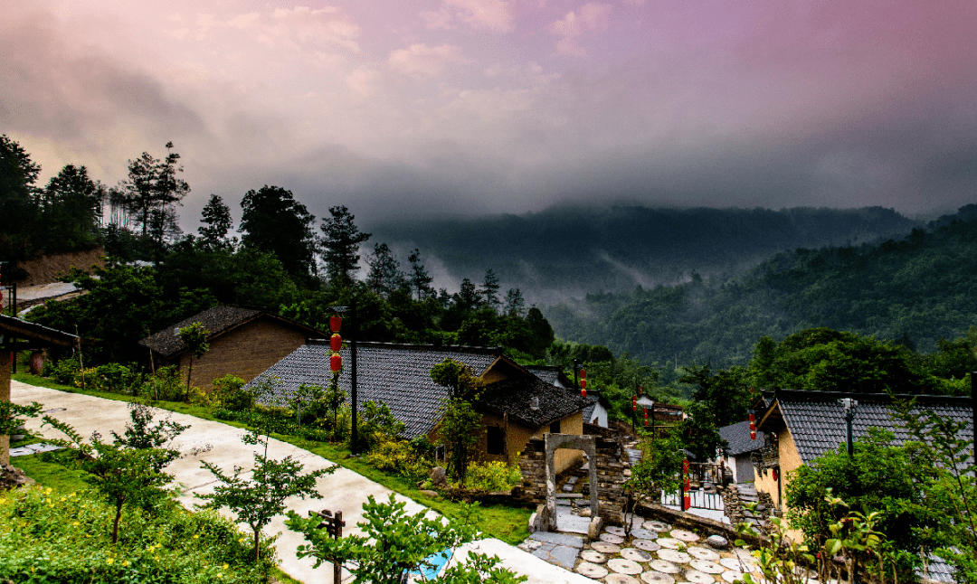桂永生/ 摄     贵池区天生湖省级森林康养基地