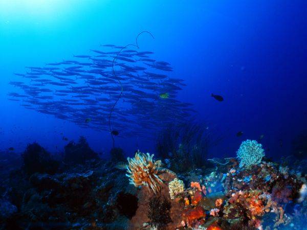 浮标|美媒：专家呼吁强化海洋数字管理