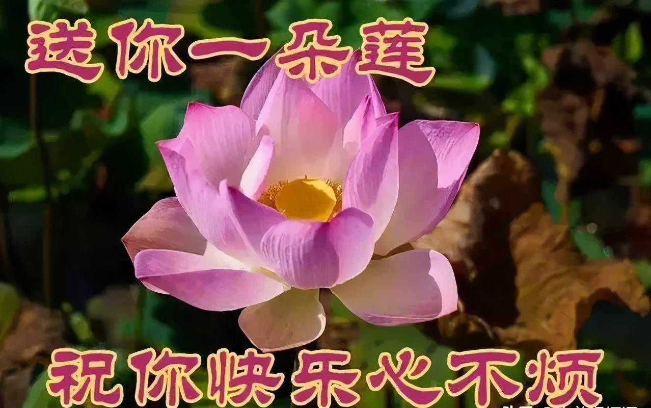 清新的空气,清晰的你,愉快的心情陪伴你,祝您快乐,早安