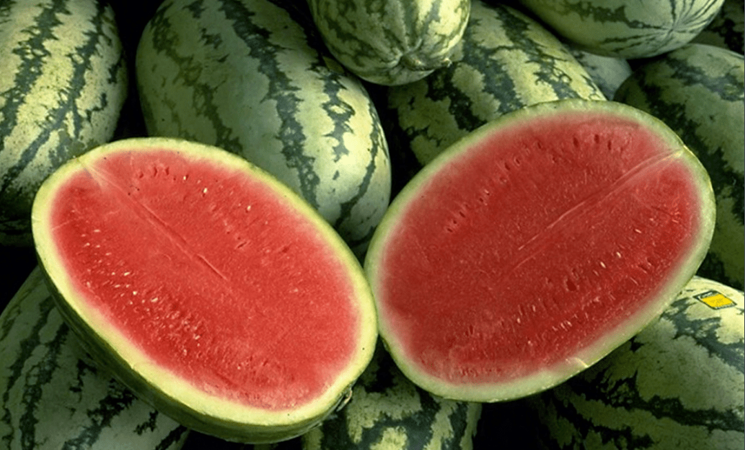 6d2901cd03a5434fa1c3a8b8da0421f1.png