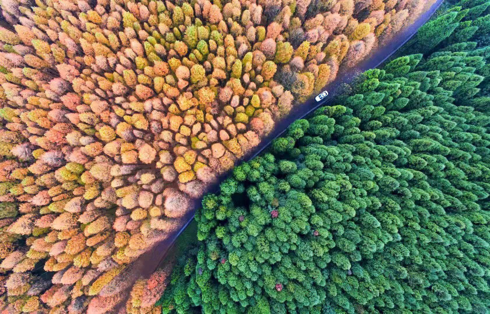 2021国际山地旅游日将于5月29日在重庆金佛山举行