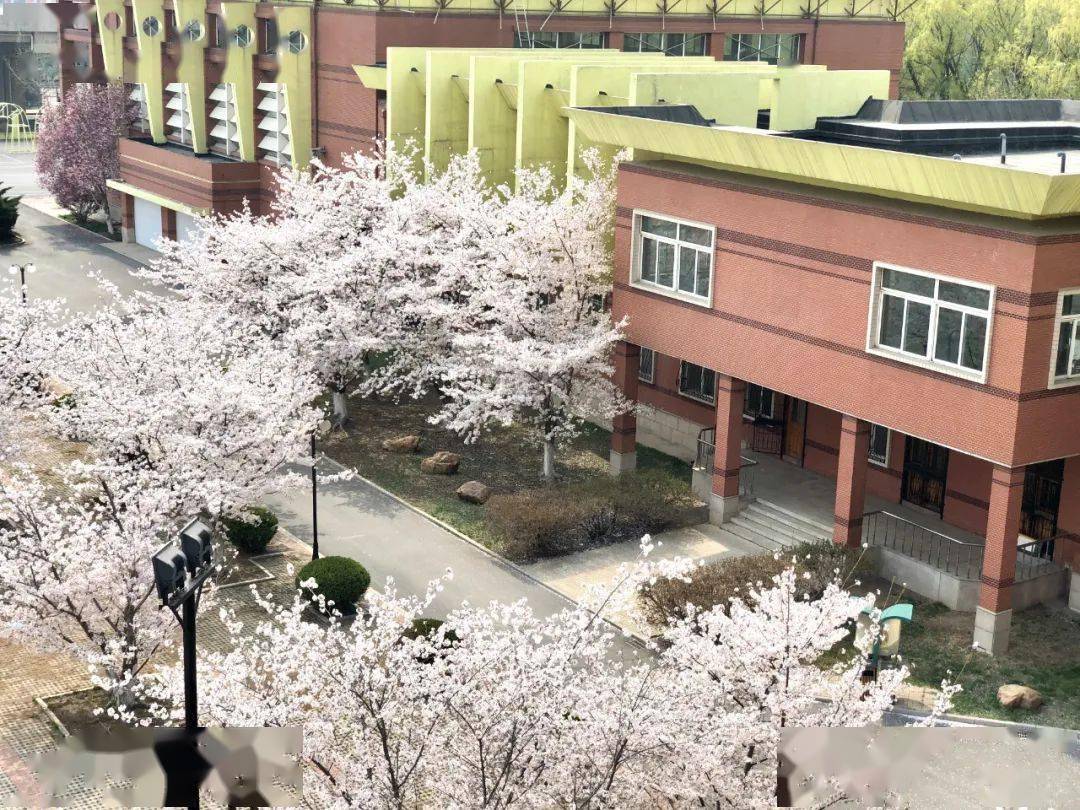 北京市教育委员会：“优才教育”违规举办学科考