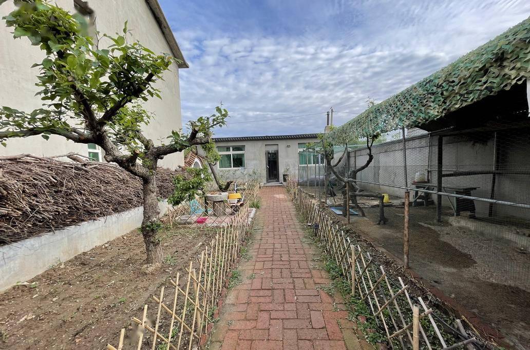 东北乡村闲置农房太多了看看沈阳周边房价租一套大院落能做啥