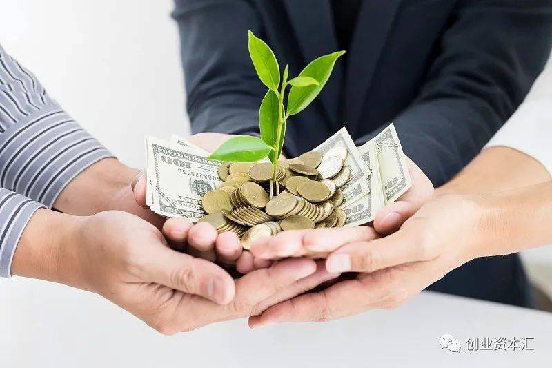 磐霖资本李宇辉:投早,投小,价值共创成就黑马