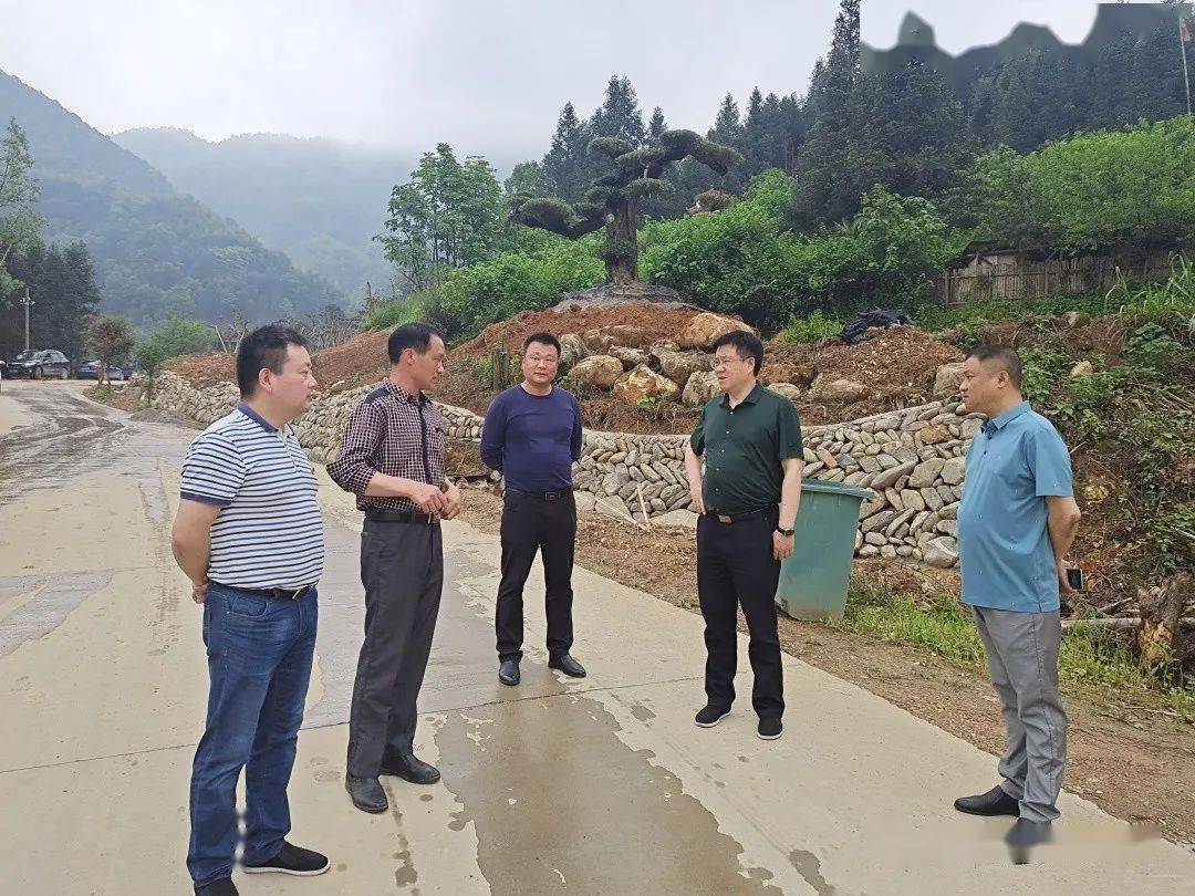 市文旅广体局党组书记,局长陶汉文一行来我镇调研安化县滔溪镇百花寨