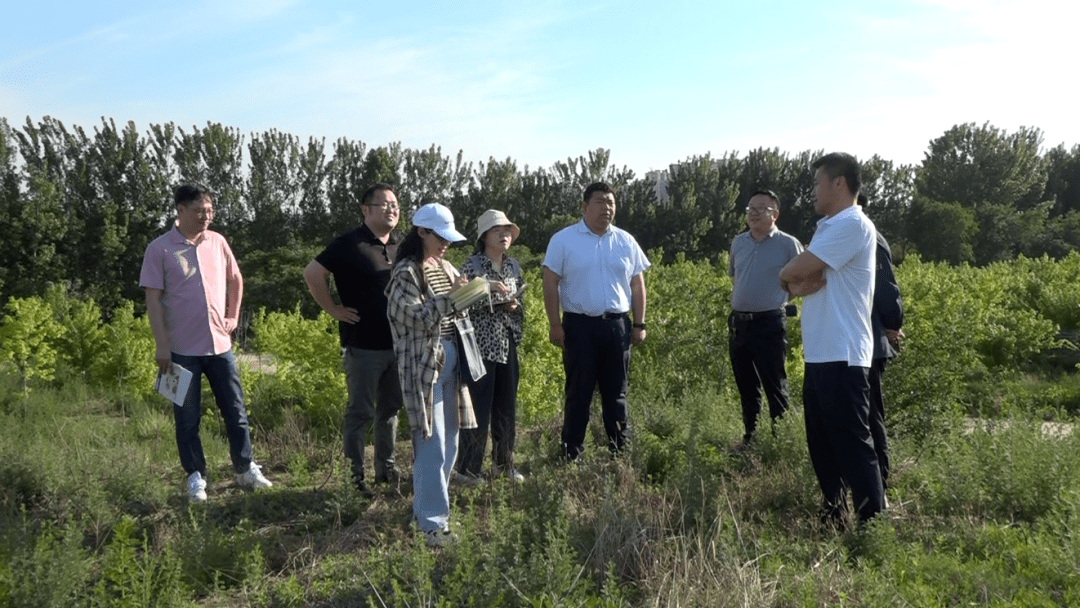 永濟渠舊址,大名府故城勘探點,金灘鎮等地進行採訪調研,對大名縣豐富