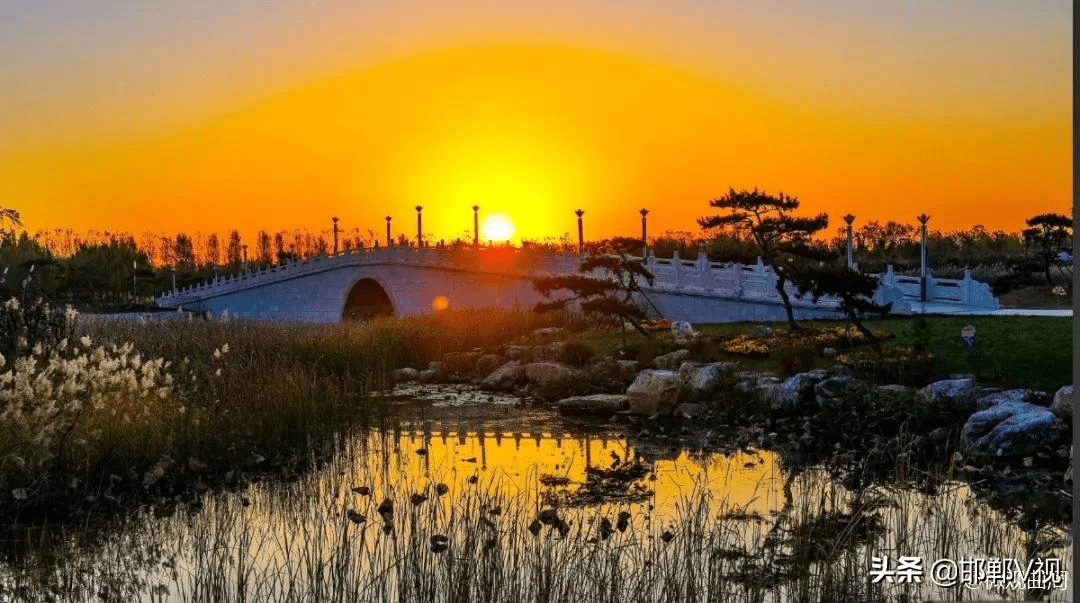 曲周莲花湖公园图片