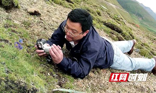钟扬:“种子先生”的初心与使命_植物