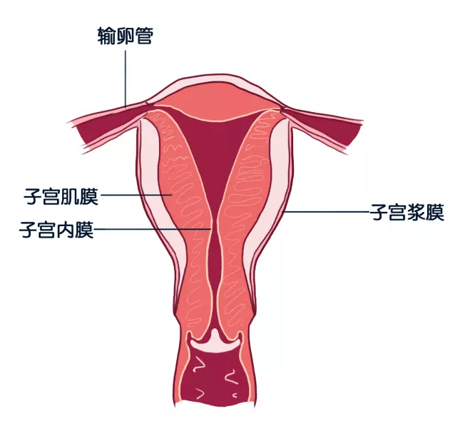 bc5f4b3b00954af084a7af3d9341a877.png