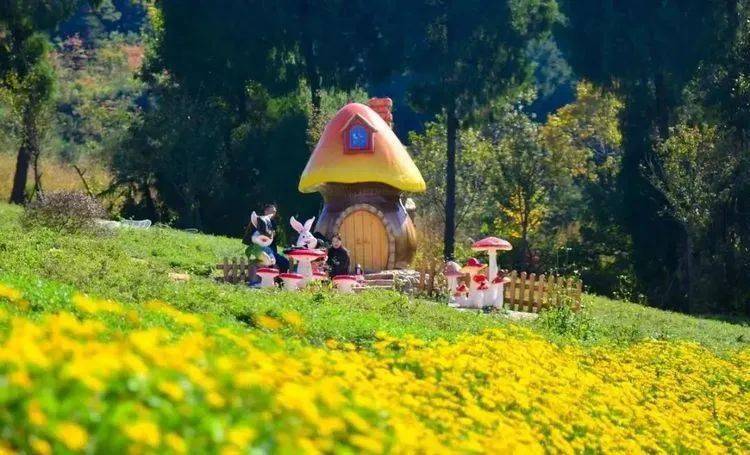 爱生活爱旅游的风景图片 c44a5230ffb24ec3bf591cef15d68ac4.jpeg