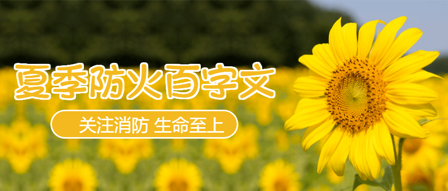 167de89c60754d9c9f5576d8aba315a8.png