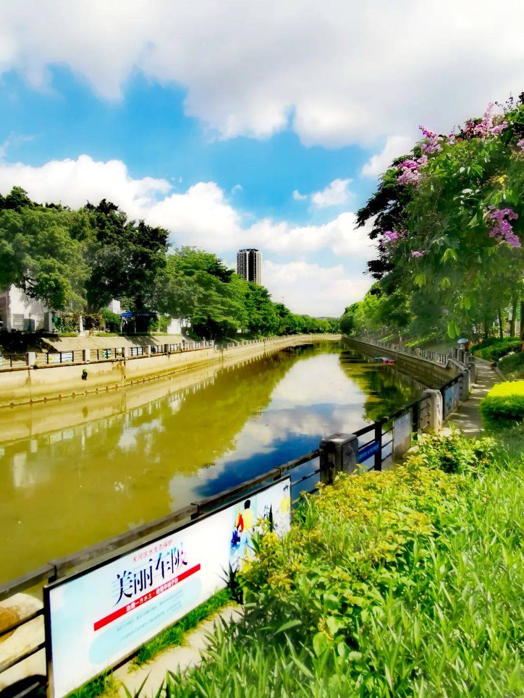 美啦,美啦!车陂涌边的护栏