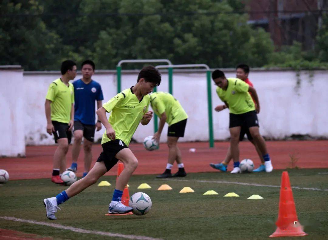 如果说每所学校都有它独特的标志,香樟树便是繁昌三中最令人难忘的