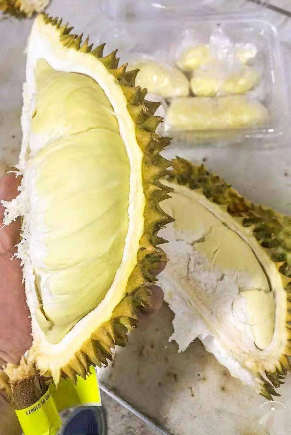 滑似黄油浓香绵密泰国a级金枕榴莲中的王者隔着屏幕都能闻到香气