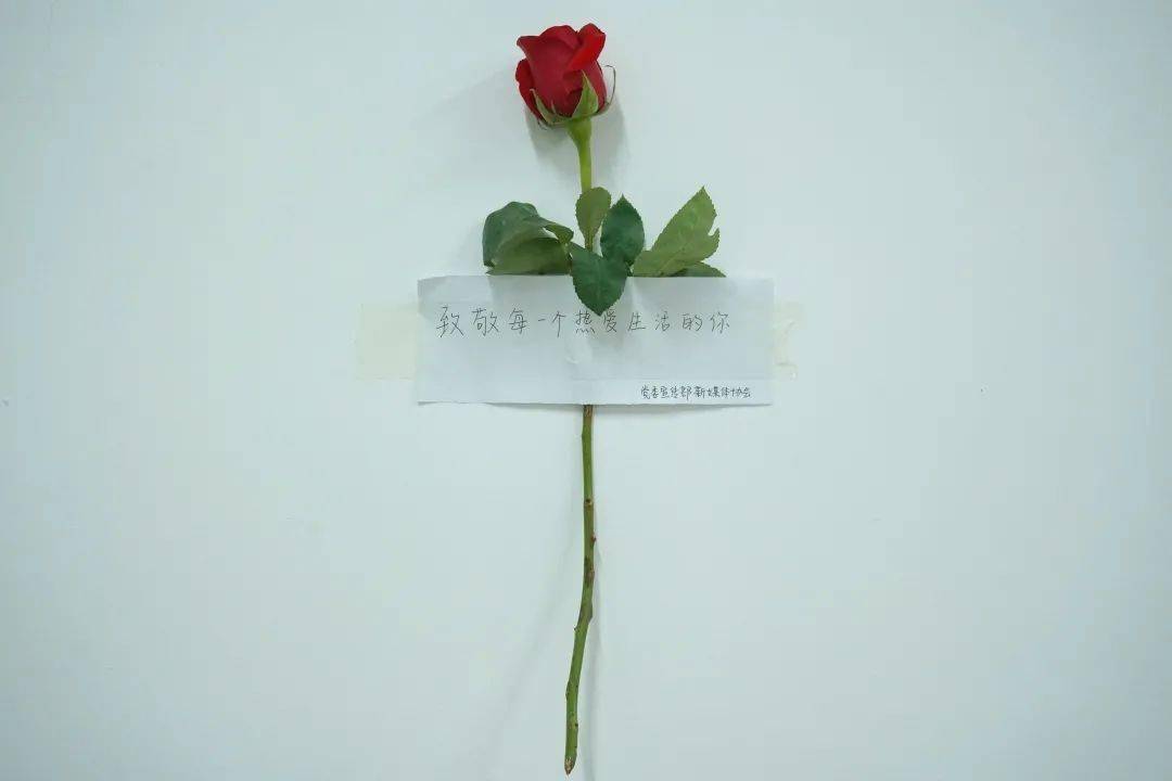 520送你一朵玫瑰花