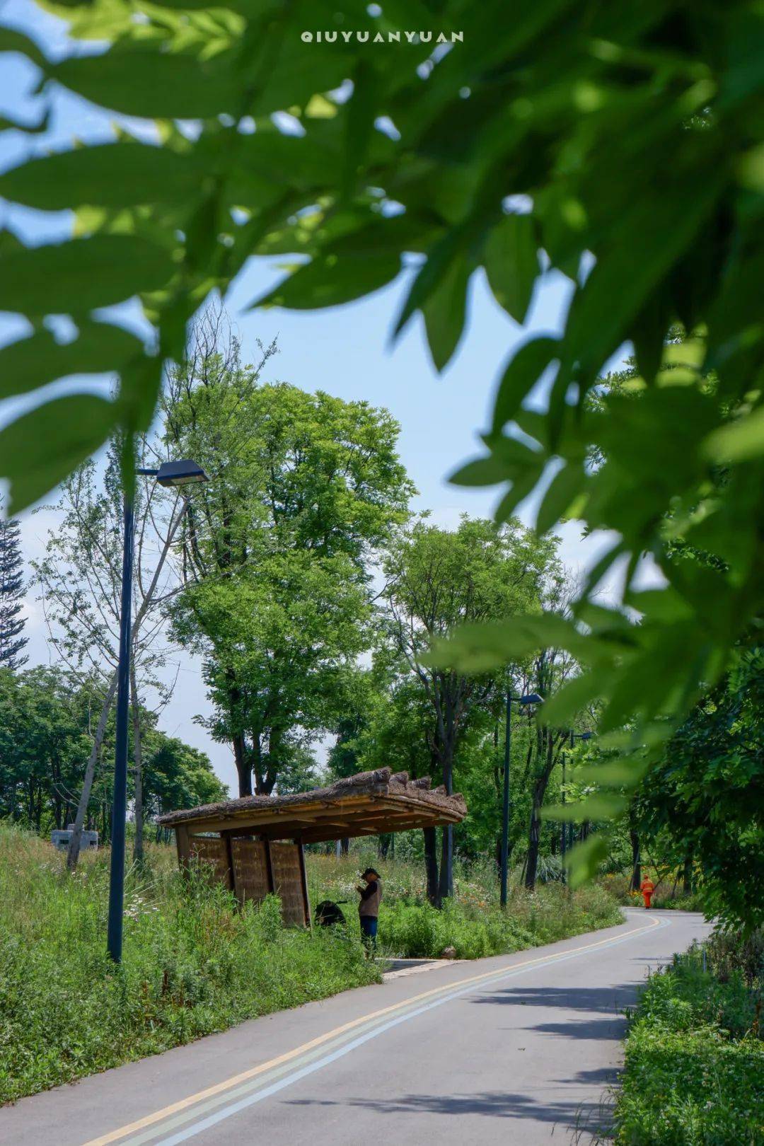 中和有个这么美的湿地公园我居然现在才发现