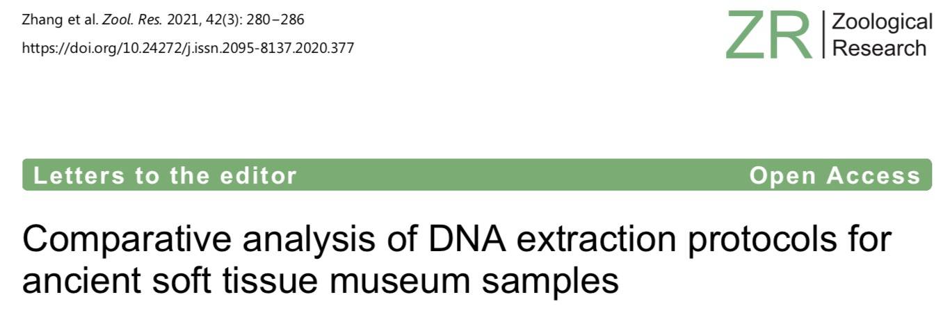 材料|博物馆的皮张如何提取DNA？中国的高效方法获灰狼全基因组