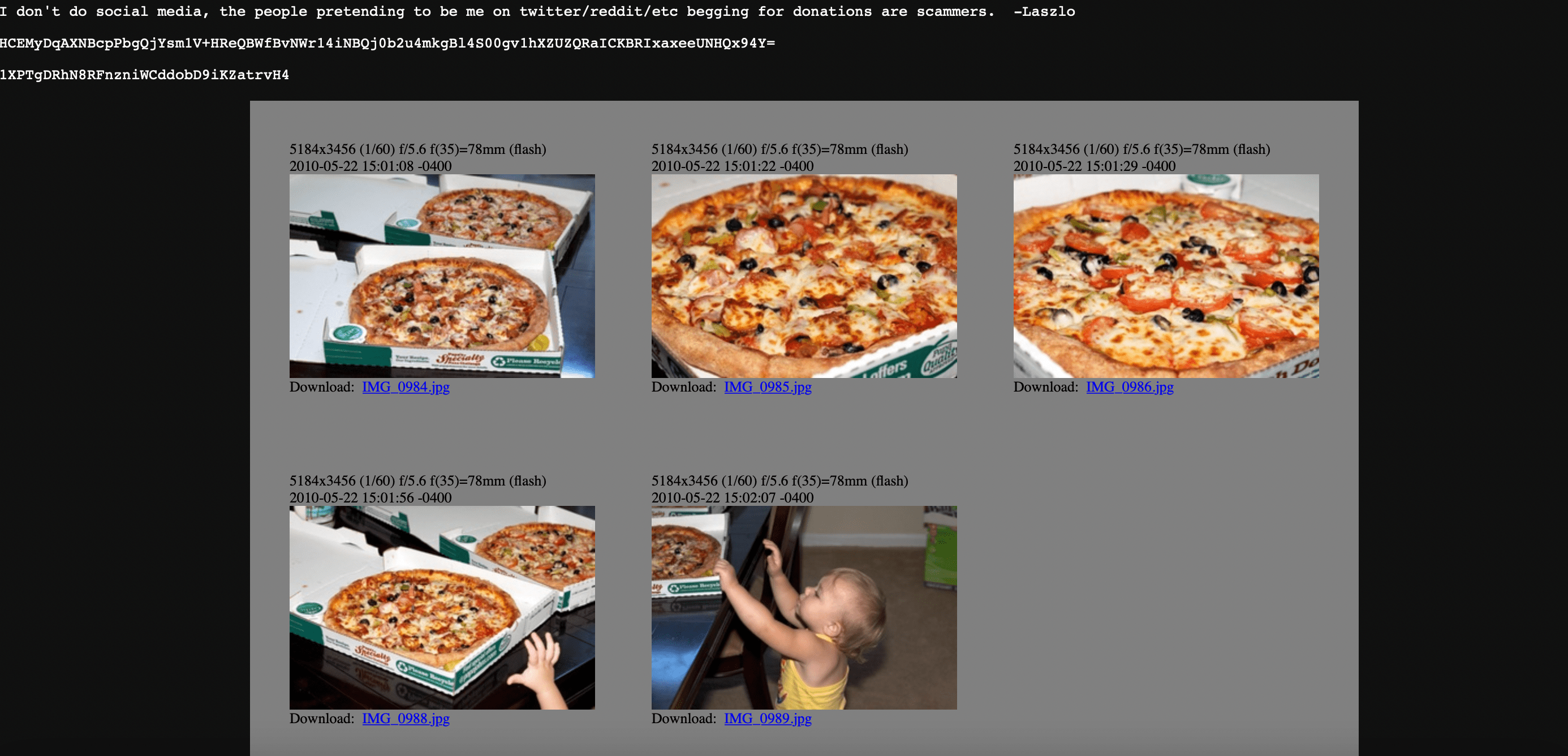 披萨节”前夜，比特币价格反弹后再度回撤，数小时内振幅达20%_搜狐网