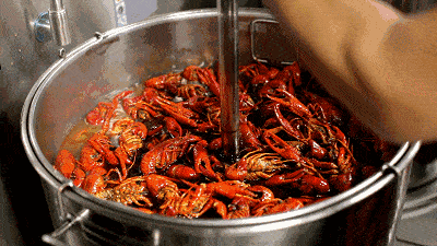 f815c9600ddb4f1d909237be96c53ee8.gif