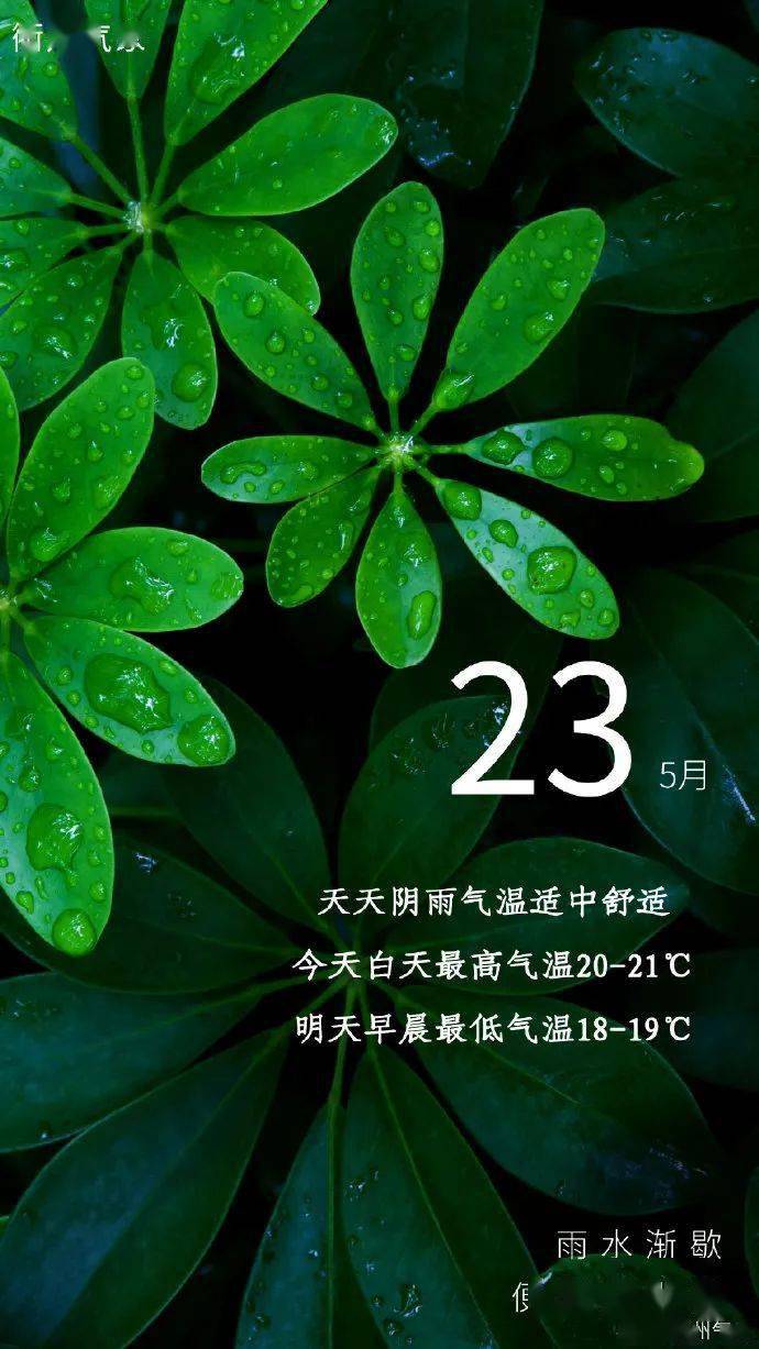 衢州连续发布多个暴雨预警信号!