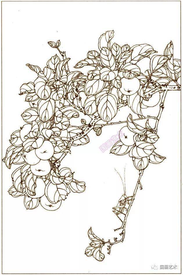 花鸟鱼虫白描画谱4