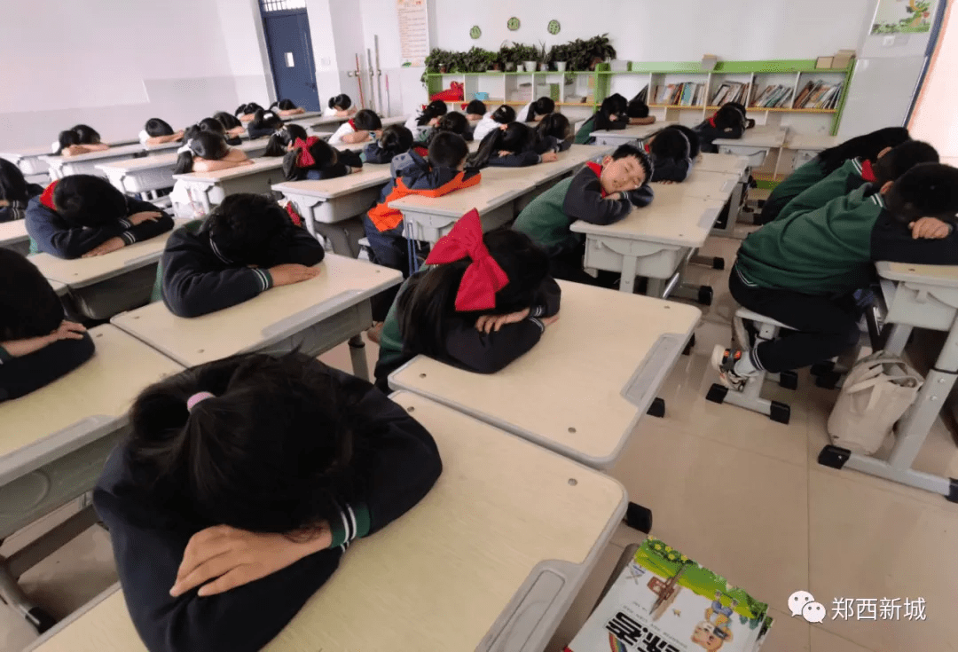 趴着睡到躺着睡荥阳市菖蒲路小学开启学生幸福午休