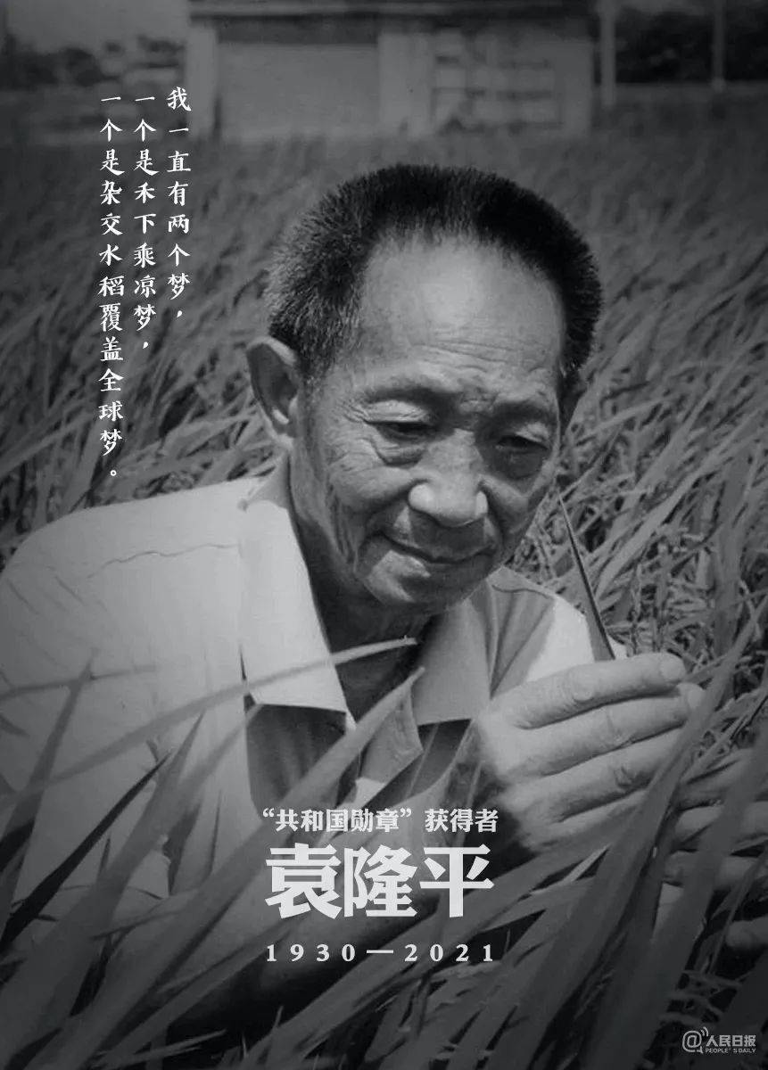 举国同殇上一句