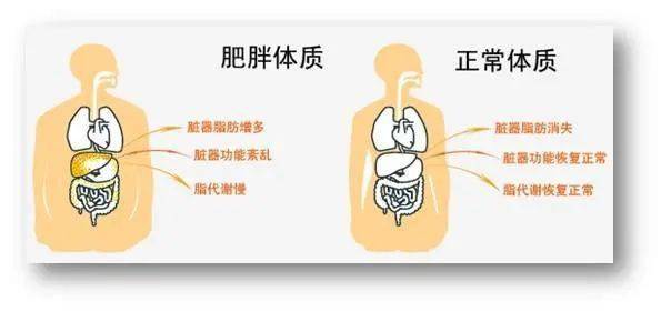 3c7bacac23594cc6a3e380fe043db769.jpeg