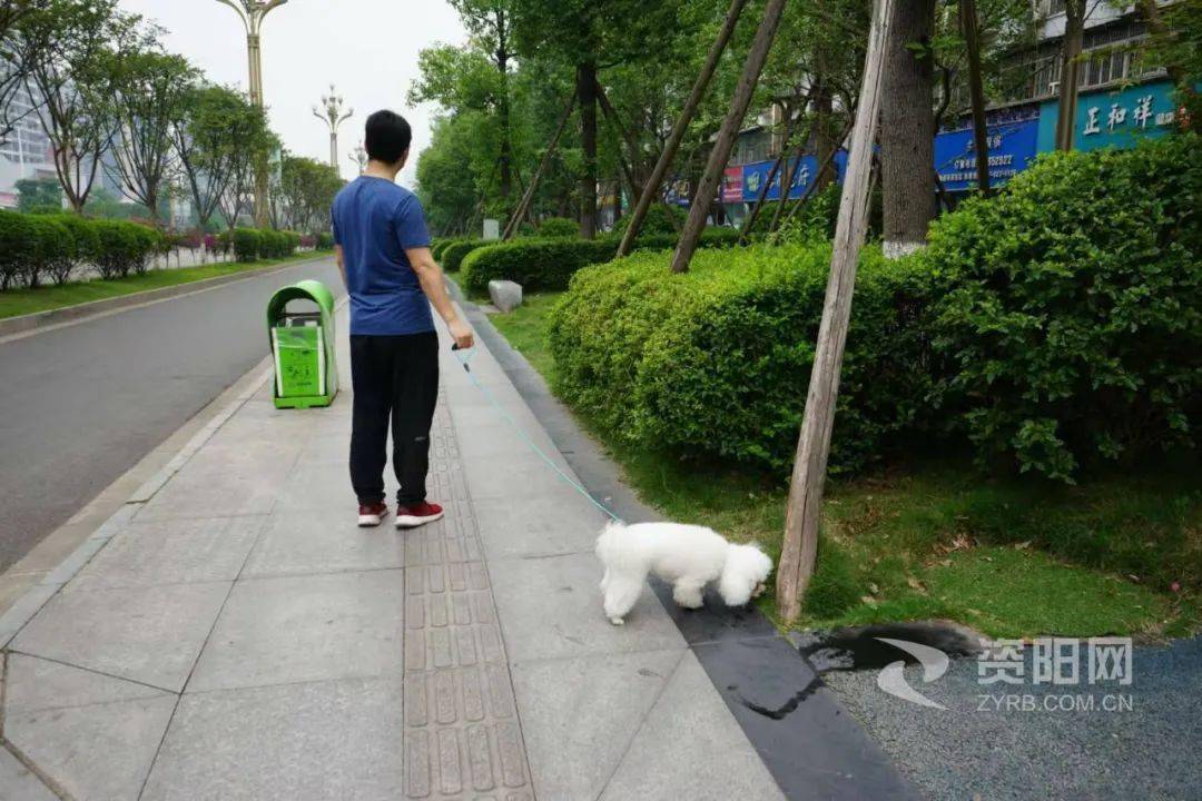 资阳一男子不文明遛狗被开首张不文明行为罚单