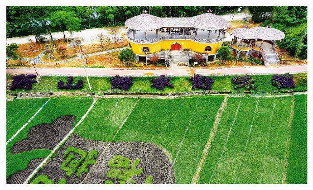 200多名群众自发来到桂林灌阳县神农稻博园悼念袁隆平