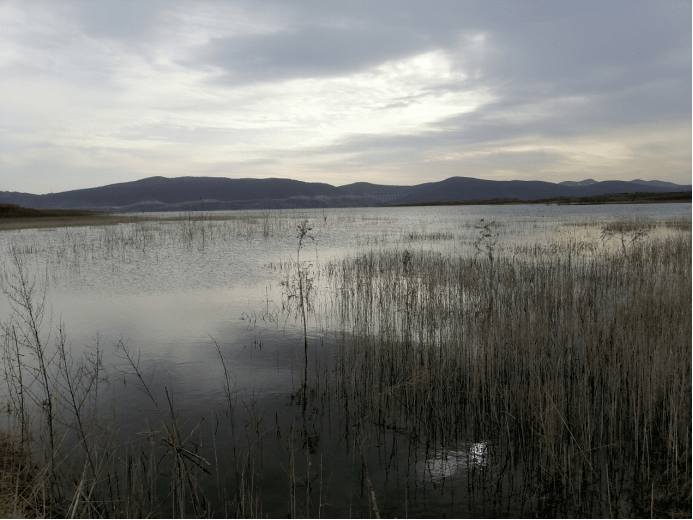 丹阳湖国家湿地公园南园建设前丹阳湖国家湿地公园南园建设后丹江口