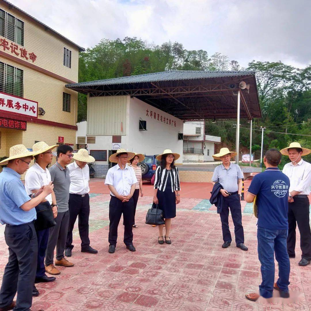 省政府参事一行来大坪镇调研